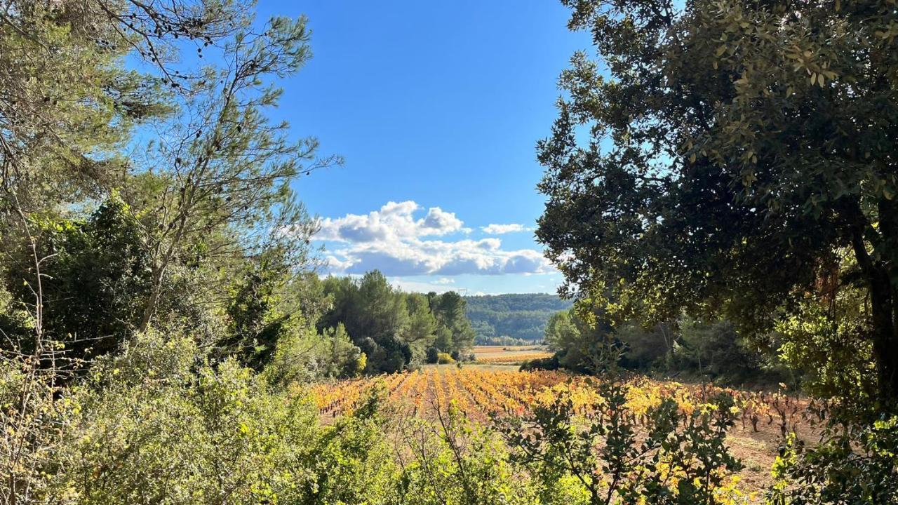Le Chalet Saint-Jean-de-Minervois 外观 照片
